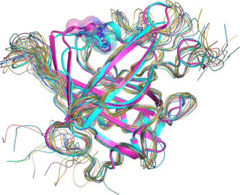 Fig. 3 Superimposition of lipocalin-type PGDS structures