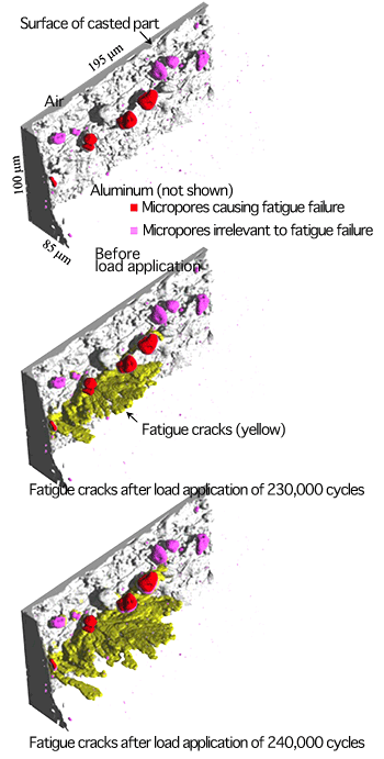 Fig. 2 Four-dimensional images (time-series observation of three-dimensional image) of fatigue crack initiation