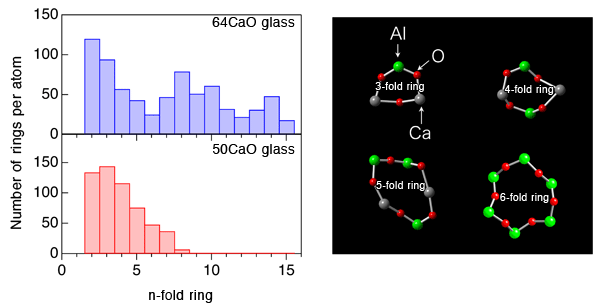Fig. 2 Ring-size distribution in glass
