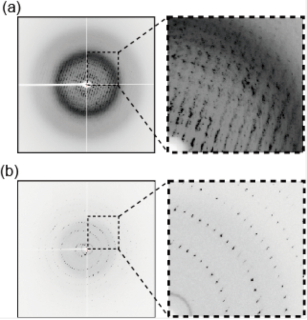 Fig. 3 X-ray diffraction images of (a) crystals frozen by a conventional method using cryoprotectants and (b) those frozen by the HAG method