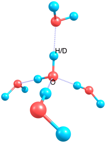 Figure 1 Water molecule and its hydrogen bond
