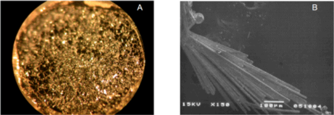 Fig. 1 Photograph of single crystals used. A and B
