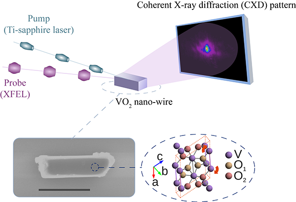 Fig. 1 Schematic of experimental method combining pump-probe method and coherent X-ray diffraction