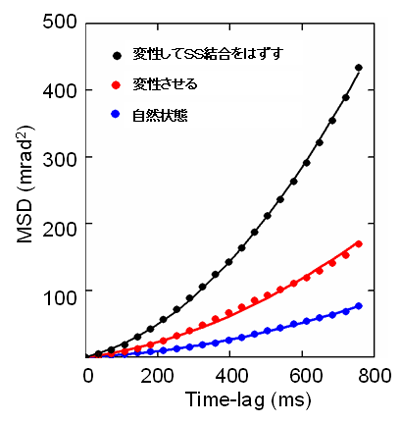 図6　&beta;2ミクログロブリンの１分子運動特性