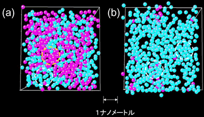 図4 (a) 金属−絶縁体転移領域のある瞬間の原子分布 (b) 液体−気体臨界点近傍のある瞬間の原子分布