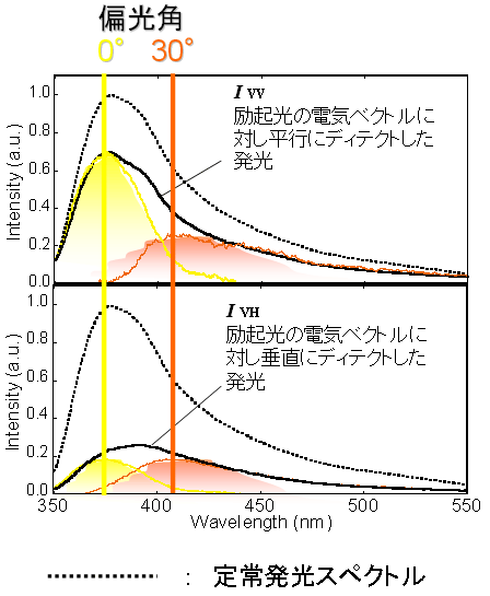 補足資料2 偏光発光スペクトル