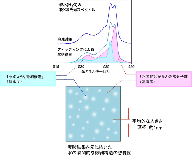 図4 これまでの軟X線発光、X線ラマン散乱、X線小角散乱の実験データーを元に作成した想像図