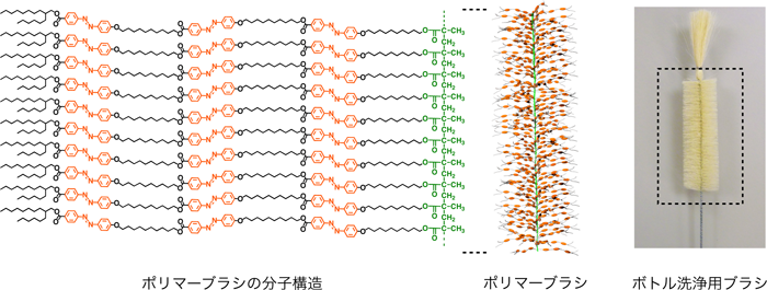 図1　ポリマーブラシの分子構造（左）とその模式図（中央）、ボトル洗浄用のブラシ（右）