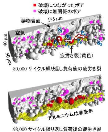 図3:疲労き裂発生とポア分布の統計解析結果。
