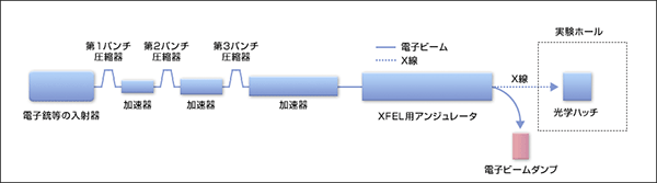 図1 X線自由電子レーザーシステムの模式図
