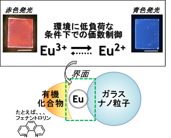 図1 Eu錯体-ガラスナノ粒子の模式図と発光の写真(写真中のバーは1 cm)