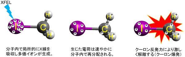 図1. 分子がX線を吸収して、クーロン爆発に至る概念図