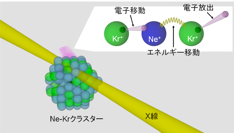 図. 本研究で解明した反応過程。
