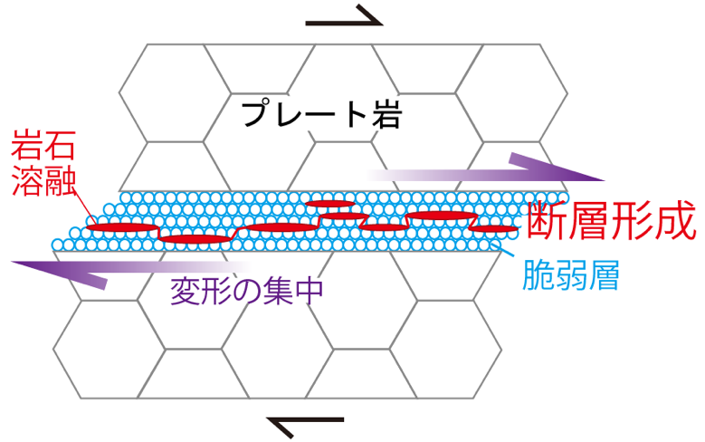 図3. 今回解明された、稍深発地震を引き起こす断層の形成メカニズム。