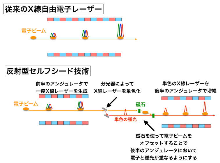 図1 従来のX線自由電子レーザー(XFEL)の発振方法と反射型セルフシード技術の概略図
