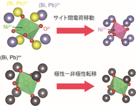 図1:Bi1−xPbxNiO3の負熱膨張メカニズム。