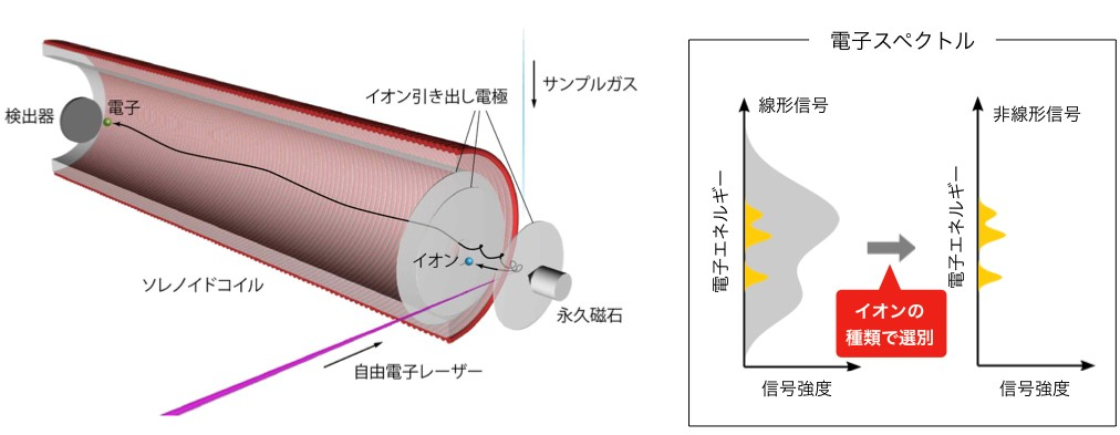 図1:磁気ボトル型電子-イオンコインシデンス分光装置の概念図