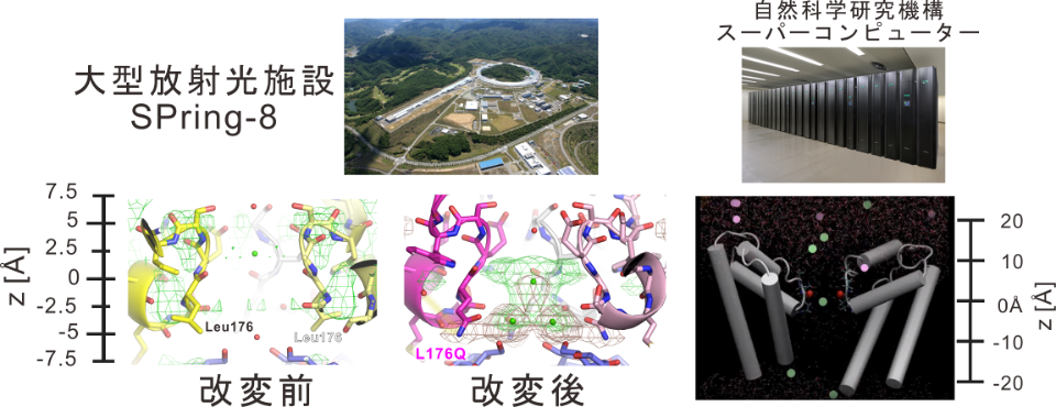 図2