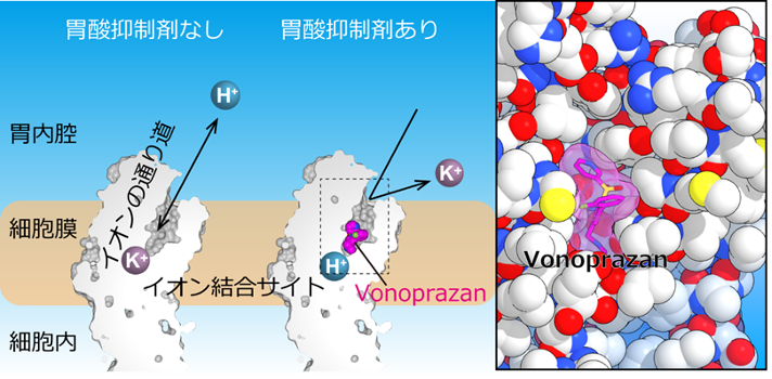 図2