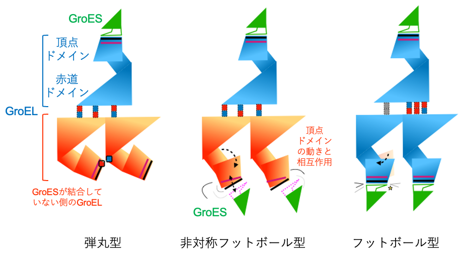 図