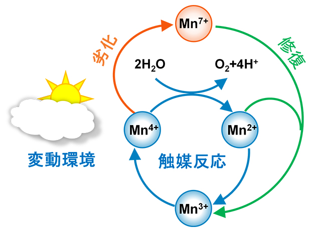 変動電圧に強い酸化マンガン水電解触媒の開発 －揺らぎの大きい自然