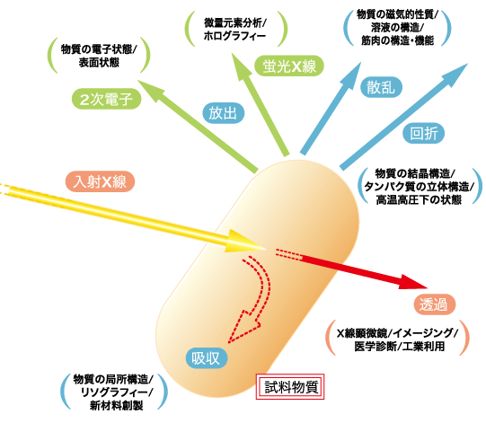 SPring-8放射光を利用した研究（例）