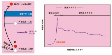 図1．蛍光X線の発生（左）と蛍光XAFS（X線吸収微細構造）スペクトル（右）