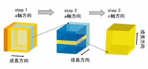 図1. 毛髪一本のＸ線屈折コントラスト画像