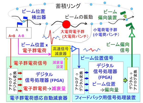 図1　不安定性抑制用バンチ毎フィードバックシステム
