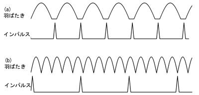 図2 昆虫飛翔筋の同期型(a)と非同期型(b)動作方式の違い