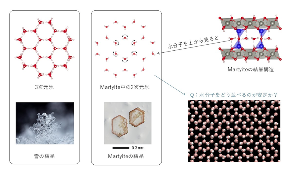 図1 図1:3次元氷と2次元氷のハニカム格子(水分子の蜂の巣状配列)。
マーティアイト中で回転する水分子がどう整列するかは非自明。