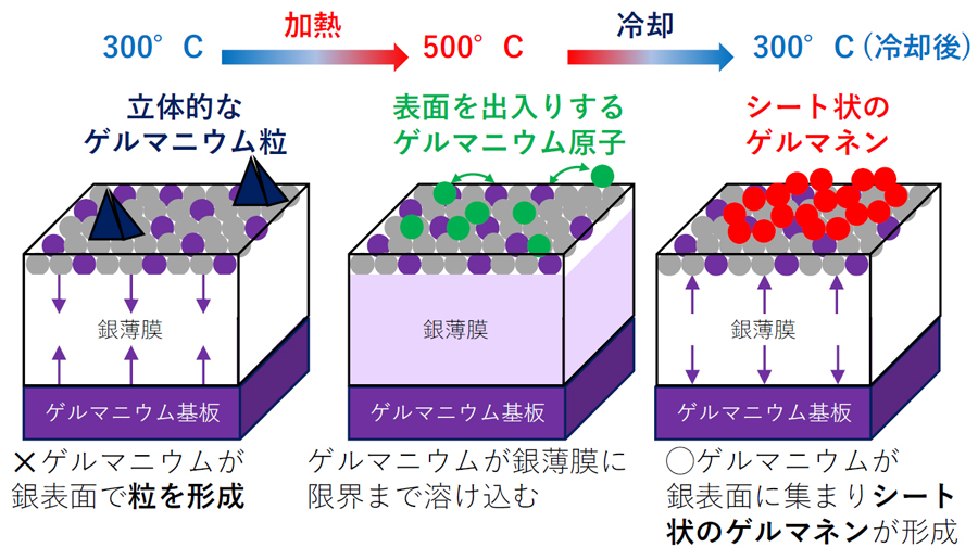 図１ゲルマニウム原子が表面に集まりゲルマネンを形成する流れ(概念図)
