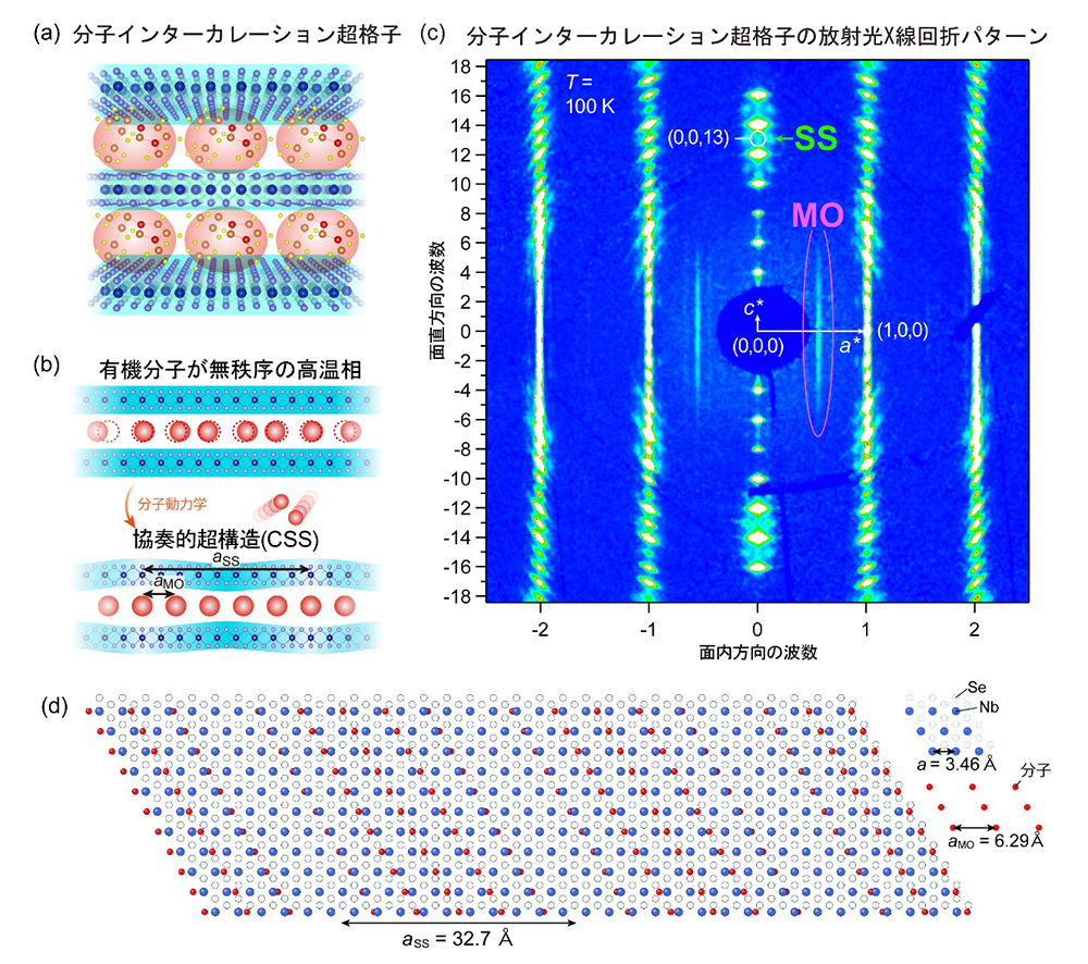 図2 図2:分子インターカレーション超格子における協奏的超構造(CSS)の概念図