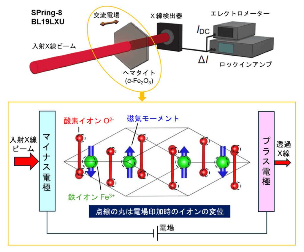 本研究の実験配置(上)と観測された電場誘起X線非相反線二色性の要因となる電場で誘起されるイオン変位(下)。変位の大きさは誇張して描いている。