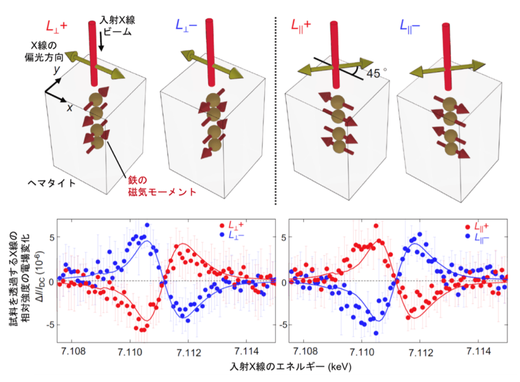 図1 図1:(上)ヘマタイトにおける4種類の磁気ドメイン状態と実験配置の模式図。(下)各磁気ドメイン状態における電場で誘起されるX線透過率の相対変化スペクトル。ピーク振幅200 Vの交流電圧を印加した条件下で測定された。実線はFe3+イオンとO2-イオンの相対変位を5 fmとしたときの第一原理計算による数値シミュレーションの結果を表す。