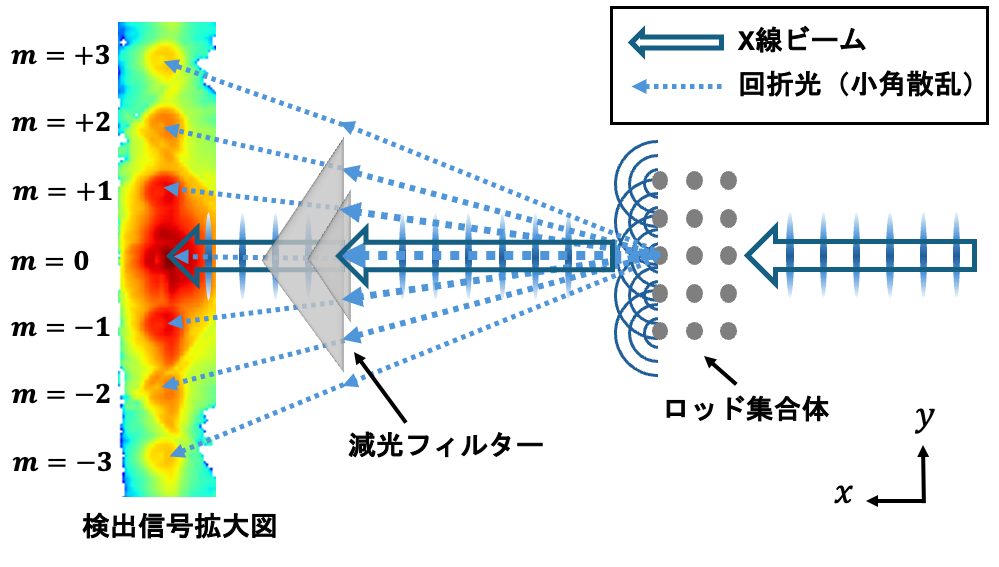 図2 図2. ビームストップフリーX線小角散乱法の原理図。検出信号の左に記載されているmは回折次数を表す。本実験で用いた減光フィルターは、一定の厚みをもつ三角形状の金属薄板を重ね合わせることで、中心部ほど厚くなるように構成される。フィルターを三角形状にすることで、重ね合わせる位置に応じて減光領域を細かく調整することが可能。